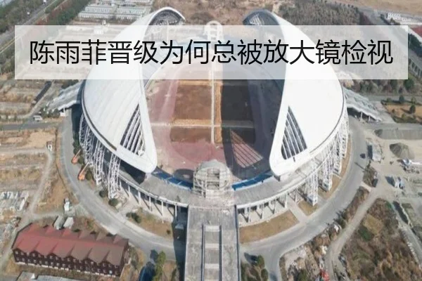 陈雨菲晋级为何总被放大镜检视